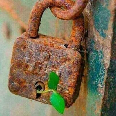 Profile Picture of AHMAD ALSALEH (@AHMEDAL71181007) on Twitter