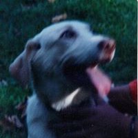 Profile Picture of Jason Foth (@frnrsq) on Twitter