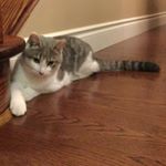 Profile Picture of Matthew Sampogna (@matthew_samps) on Instagram