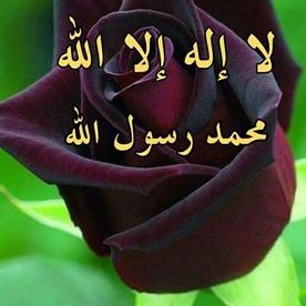 Profile Picture of Zahara Mohammed (@ZaharaMohamme13) on Twitter