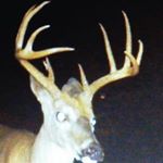 Profile Picture of Chuck Mitchell (@chuck220712) on Instagram