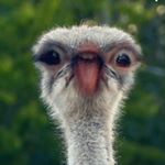 Profile Picture of Sherry Deng (@photo1920_sherry) on Instagram