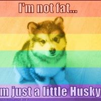 Profile Picture of Jesse Paulson (@jesse-paulson-5) on Quora