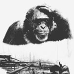 Profile Picture of Bruno Relvas (@brunorelvas_) on Instagram