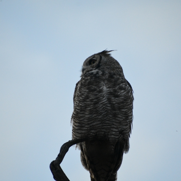 Profile Picture of Tim Sontag (@sontagtim) on Poshmark