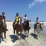Profile Picture of Farzad Farzayee (@farzayee) on Instagram