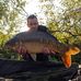 Profile Picture of Simon Brook (@simon.brook.52438) on Facebook