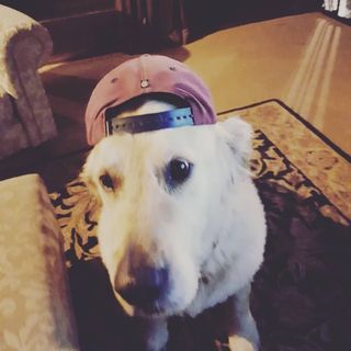 Profile Picture of Luke Metcalfe (@metcalfeluke) on Instagram