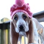 Profile Picture of boone louise (@the_boone_louise) on Instagram