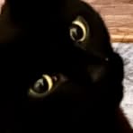 Profile Picture of Jules Cromer (@Jules-Cromer) on Facebook