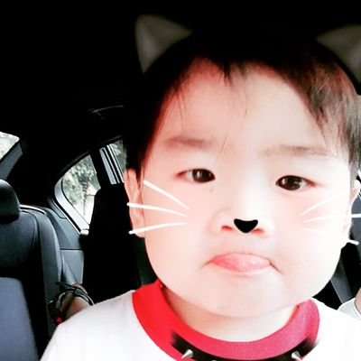Profile Picture of Andy Luo (@Andyluo14) on Twitter