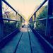 Profile Picture of Shrina Patel (@gotmasala) on Pinterest
