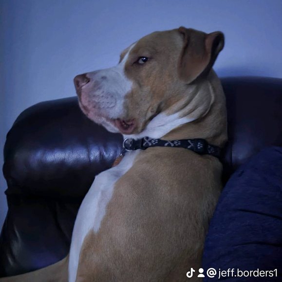 Profile Picture of Jeff Borders (@jeff_borders) on Poshmark