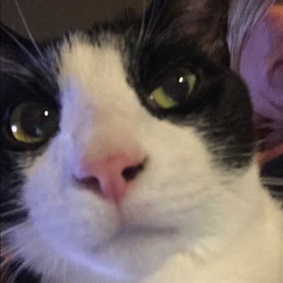 Profile Picture of Kim Rakiec (@kimberlyrakiec) on Poshmark