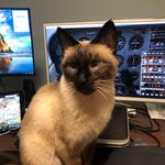 Profile Picture of Kenneth Kranz (@kranzkenneth) on Instagram