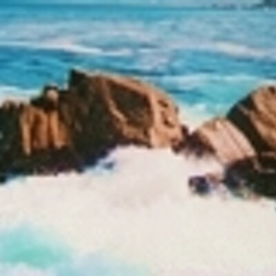 Profile Picture of Matt Torchia (@mtorchia) on Twitter