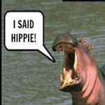 Profile Picture of Paul Argyle (@paul.argyle.402) on Instagram