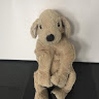 Profile Picture of Kim Johannes Baltes (@kim-johannes-baltes) on Quora