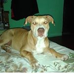 Garret ryan - Instagram Profile Picture of Garret ryan (@garrett_ryan_) on Instagram