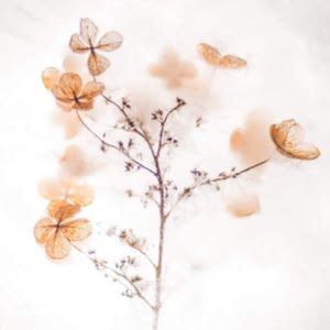 Profile Picture of alicehague50 (@alicehague50) on Tiktok