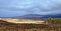 Profile Picture of West Highland Wayon Wikipedia