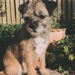 Profile Picture of David & Sally (@davidhiltonantiques) on Instagram