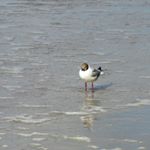 Profile Picture of Brundage (@brundageadrial1w) on Instagram