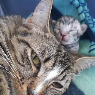 Profile Picture of Samantha Patchett (@samantha.patchett.1) on Facebook