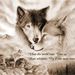 Profile Picture of Nancy Hinton (@ndldjh920) on Pinterest