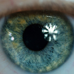 Profile Picture of Lucas Hutchinson (@LucasHutchinson) on Flickr