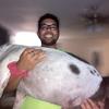 Profile Picture of Curtis (@@curtis.shipps) on Tiktok