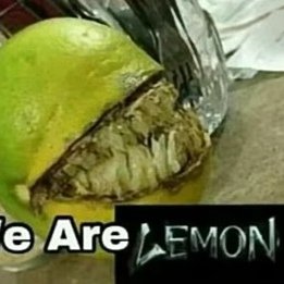 Profile Picture of Luis Eduardo Lara Meza (@LuisEdu32149386) on Twitter