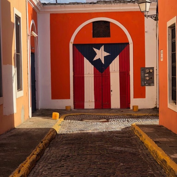 Profile Picture of Ariel Velazquez (@arieltech) on Poshmark