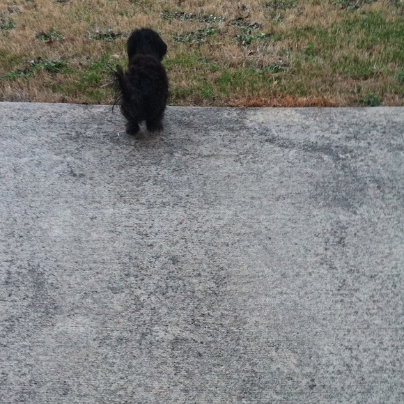 Profile Picture of Brianna Wilford (@saladpallet) on Poshmark