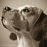 Profile Picture of Paul Hunter (@.Paul J Hunter.) on Flickr