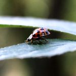 Profile Picture of Craig McKeown (@craigmckeown.photography) on Instagram