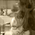 Profile Picture of Kelsey Mitchell (@Kelsey Lou da Shutterbug) on Flickr