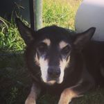 Mark Newell - Instagram Profile Picture of Mark Newell (@marknewell) on Instagram