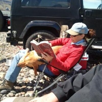 Profile Picture of Cathy Perkins (@cperkinswrites) on Twitter