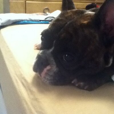 Profile Picture of Caleb Wharton (@CalebWharton) on Twitter