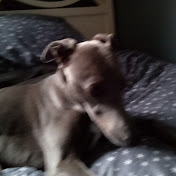 Profile Picture of Aaron Gittings (@aarongittings3856) on Youtube