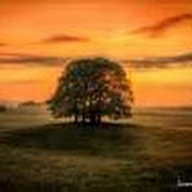 Profile Picture of Ian Matchett (@ianmatchett7198) on Youtube