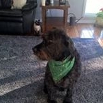 Profile Picture of Michael G Hopping (@michaelghopping) on Instagram