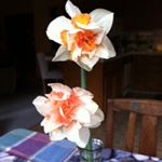 Profile Picture of Pamela Straw (@mrs.momey) on Instagram