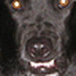 Profile Picture of john mulhearn (@John Mulhearn) on Flickr
