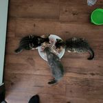 Profile Picture of Keith Moyer (@keith.moyer2) on Instagram