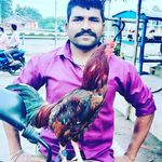 Appanna Gandi Boni - Instagram Profile Picture of Appanna Gandi Boni (@appannagandi) on Instagram