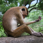 Profile Picture of John Harrold (@john_harrold89) on Flickr