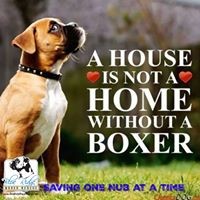 Profile Picture of Tia Smart (@tia-smart-2) on Quora