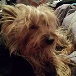 Profile Picture of Terry Ruebush (@terryruebush) on Instagram